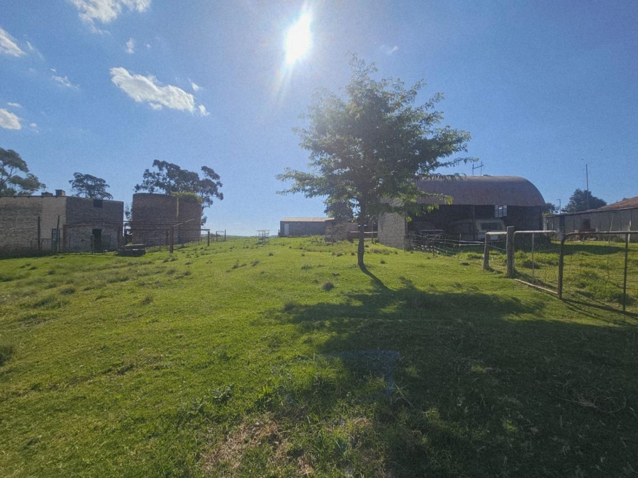 17 Bedroom Property for Sale in Ladybrand Free State